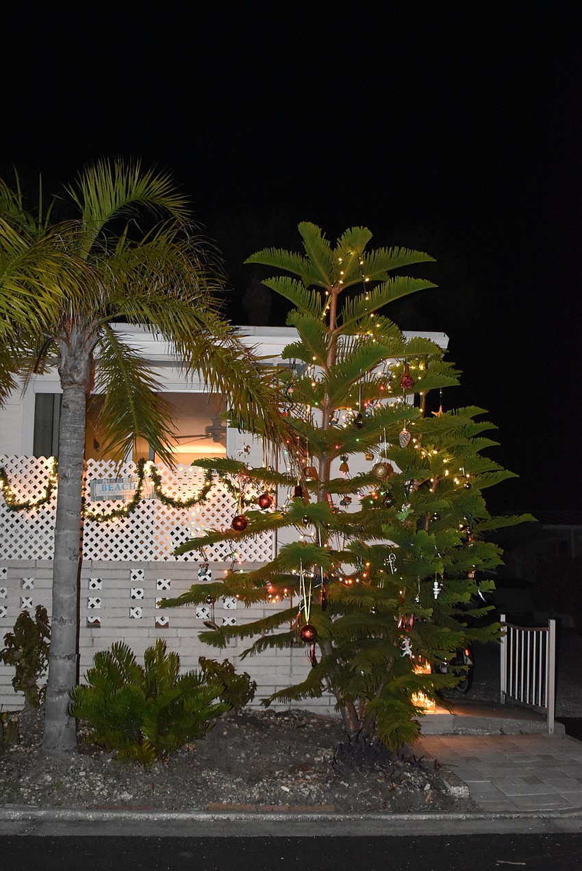 At Unit D12, lights highlight the baubles on the tree.