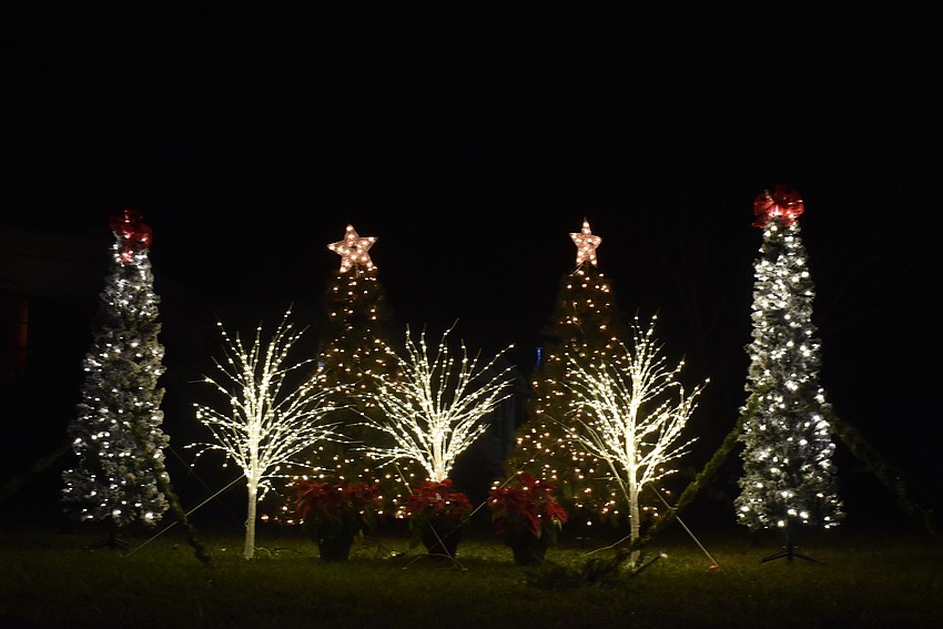 Near the Liar's Tree, a grouping of Christmas trees light up the night.