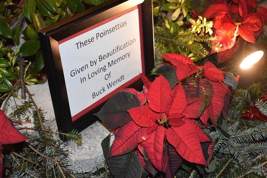 Poinsettias in honor of Buck Wendt frame the trunk of the Liar's Tree.