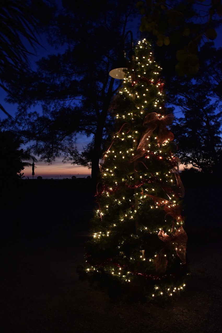 Rolling Waves Cottages
