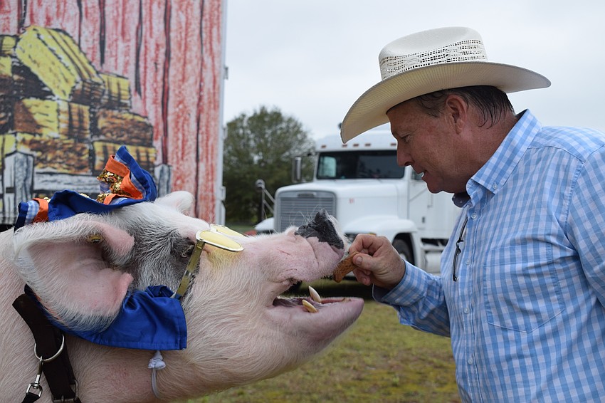 Mac receives a treat from Les Kimes after performing a trick. Kimes says as he shows respect for his animals, they respect him as well making training easier.