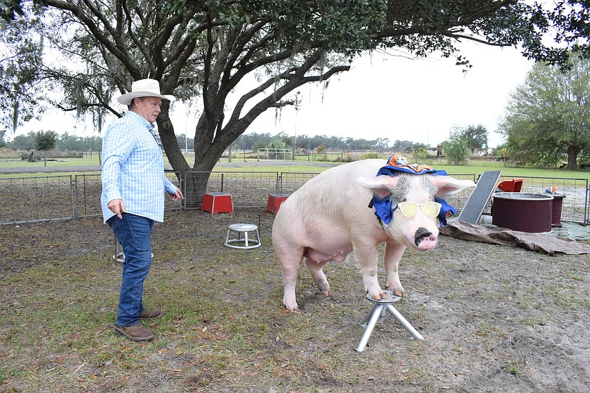 Les Kimes commands Mac to turn in a circle using a stool.