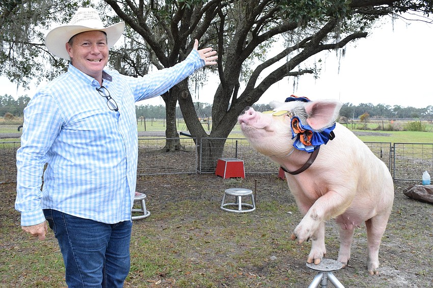 Les Kimes and his pig Mac wave.