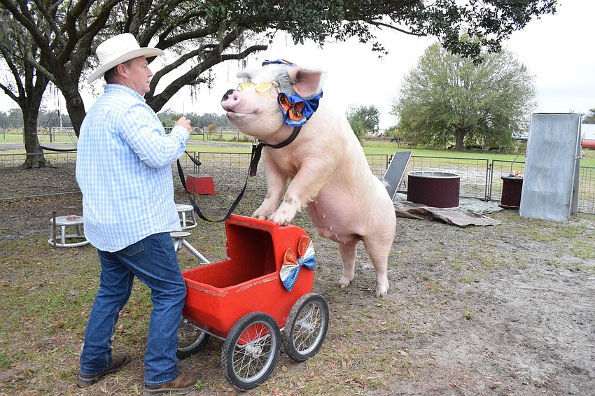 Les Kimes guides Mac as he pushes a stroller.
