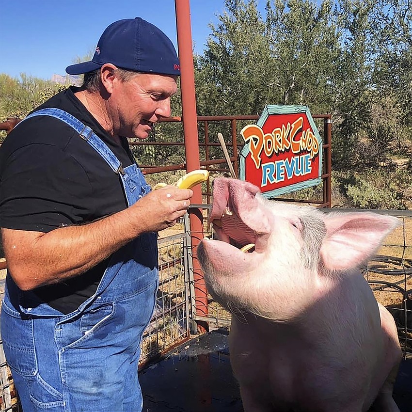 Les Kimes feeds one of his pigs. Courtesy photo.