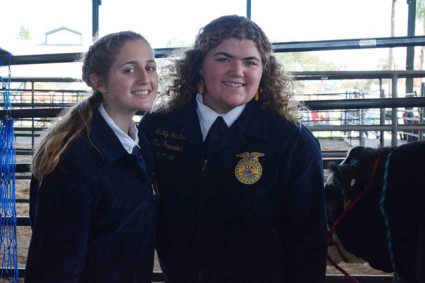 Lakewood Ranch High School sophomore Ryann Hilyer and junior Madison Hartwig prepare for the steer sale at the Manatee County Fair. 