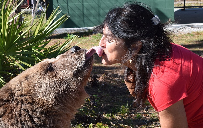 A kiss for Monica Welde from Carol, a European brown bear.