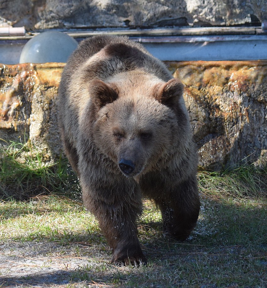 Carol comes out to say hello.