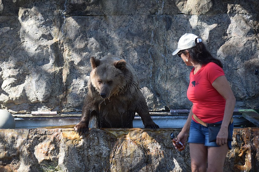 Carol comes out of the water so she can follow Monica Welde around the habitat.