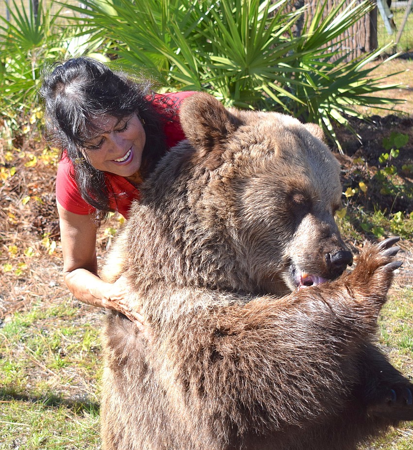 Carol licks honey off her paw.