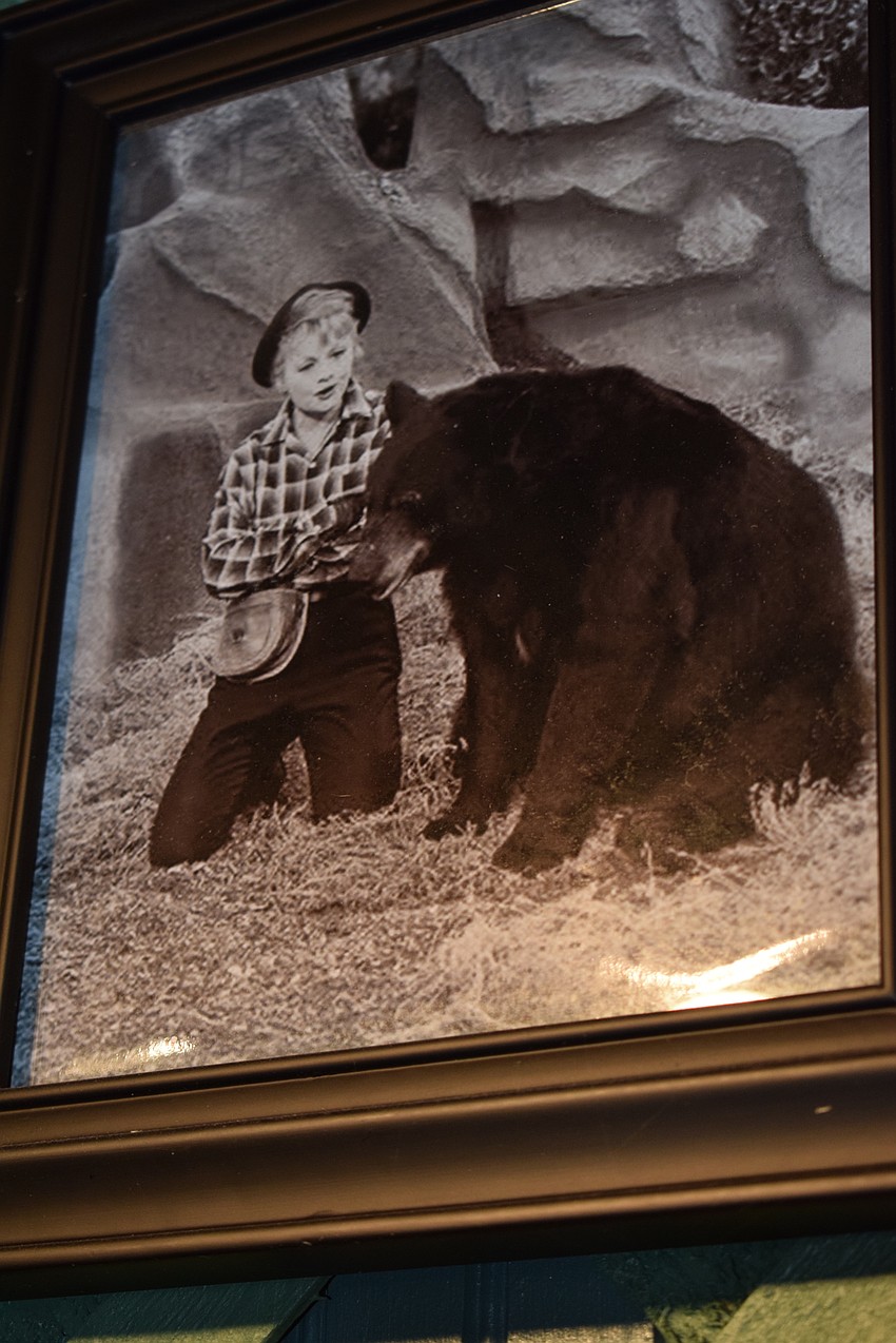 The Welde Family Bears were used on TV productions such as the Lucy Show.