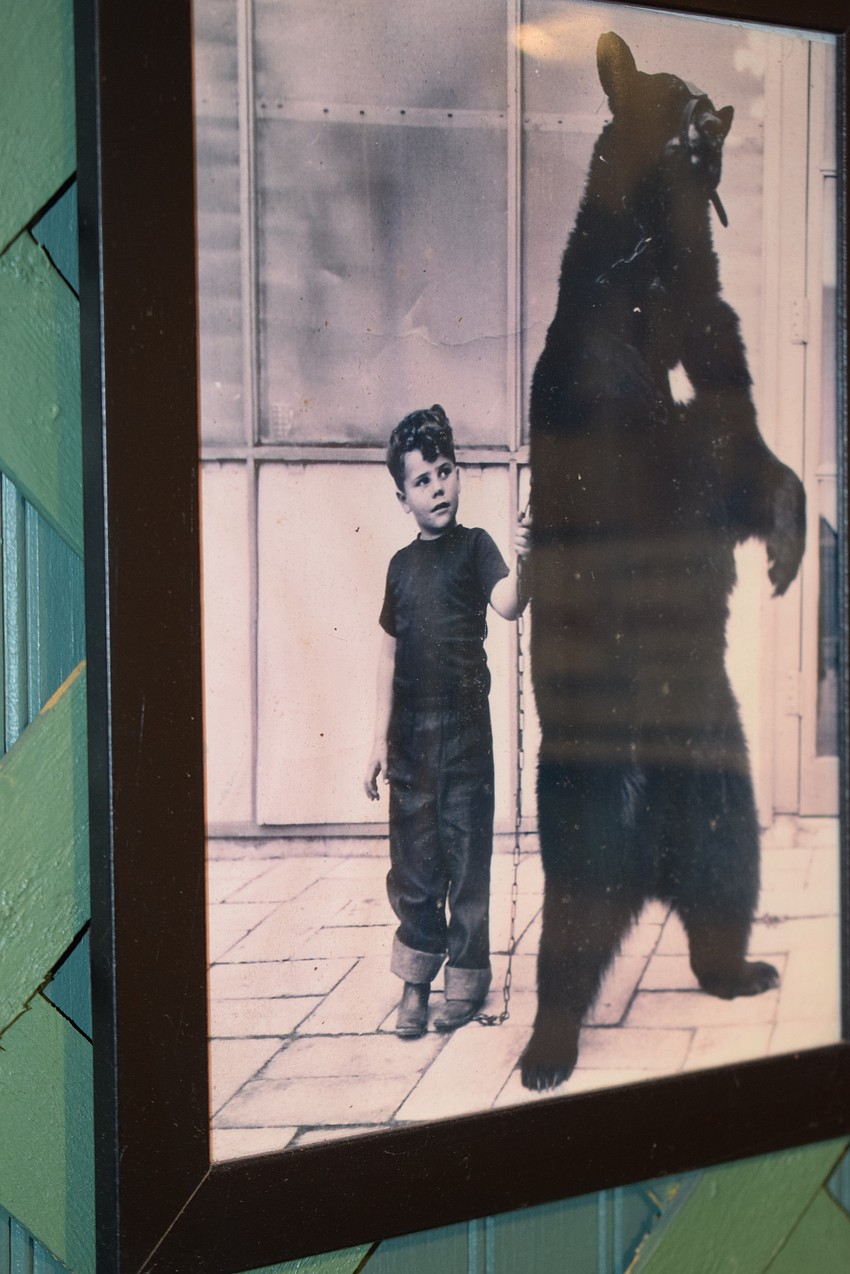 Her late husband, Johnny Welde, had this photo of him working with a bear at the age of 8.