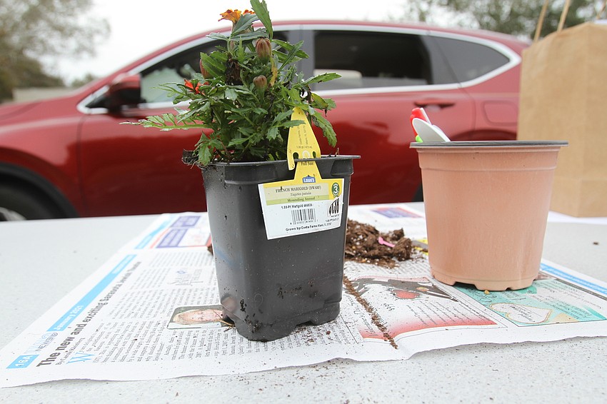 Temple Emanu-El's parking lot had several planting workshop stations.