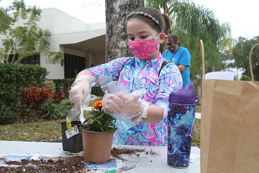 Layla Murphy wore gloves when planting.