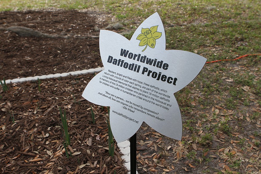 The Daffodil Project aims to plant 1.5 million daffodils in memory of the children who died in the Holocaust.