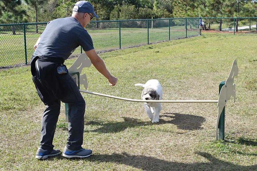 Country Club's Steve Furry tells his dog, Deja, to jump over the bar. Furry says he didn't know the dog park existed at Bob Gardner Community Park until he signed up for the Doggy Bootcamp Agility Class.