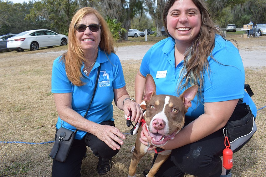 Humane Society at Lakewood Ranch board member Cheryl Johnson and Manager Dani Ziegler tend to Snickers, a 7-month-old terrier mix who is up for adoption.