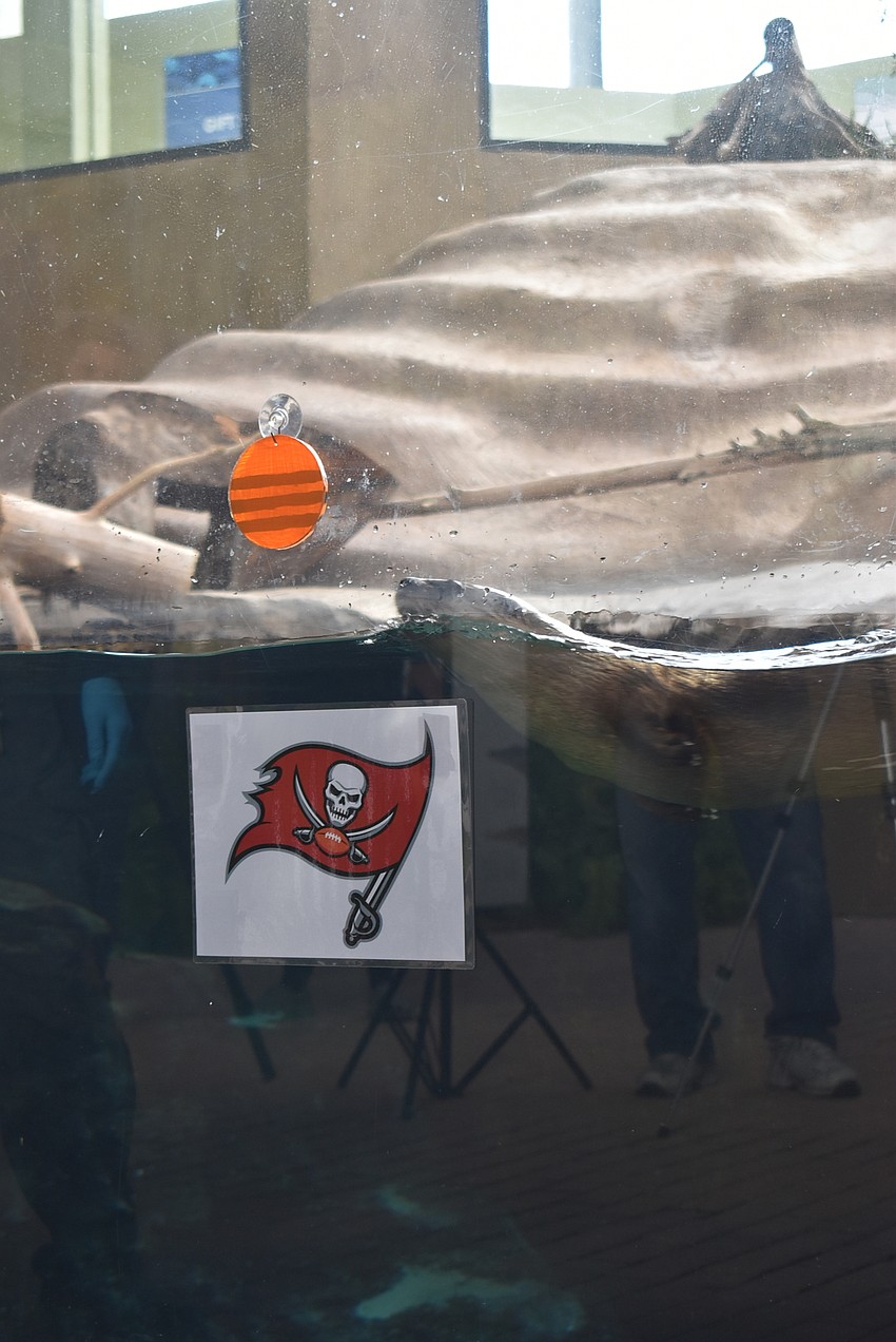 Jane picks the Buccaneers.