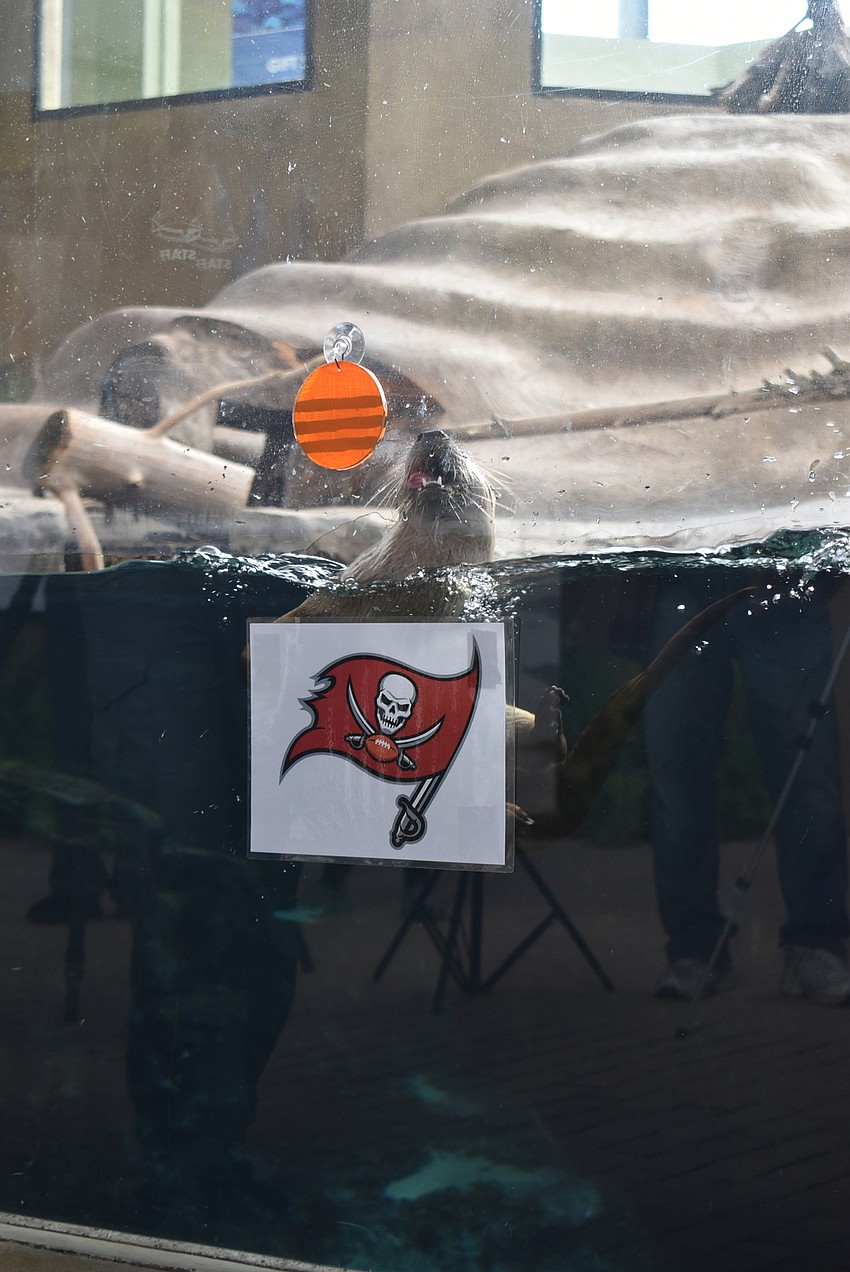 Jane picks the Buccaneers.