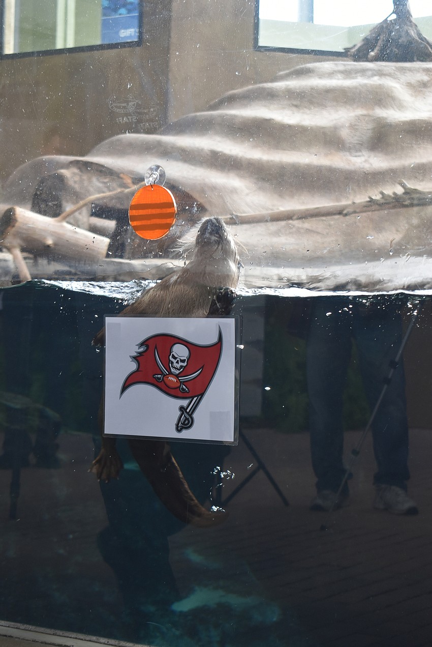 Jane picks the Buccaneers.