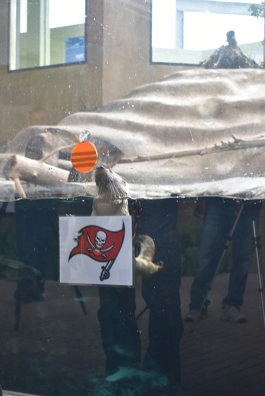 Jane picks the Buccaneers.