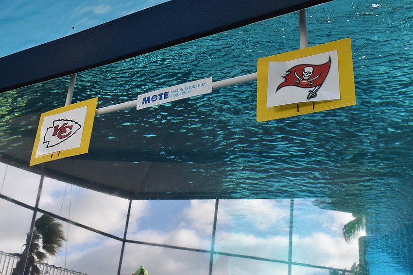 The manatee targets.