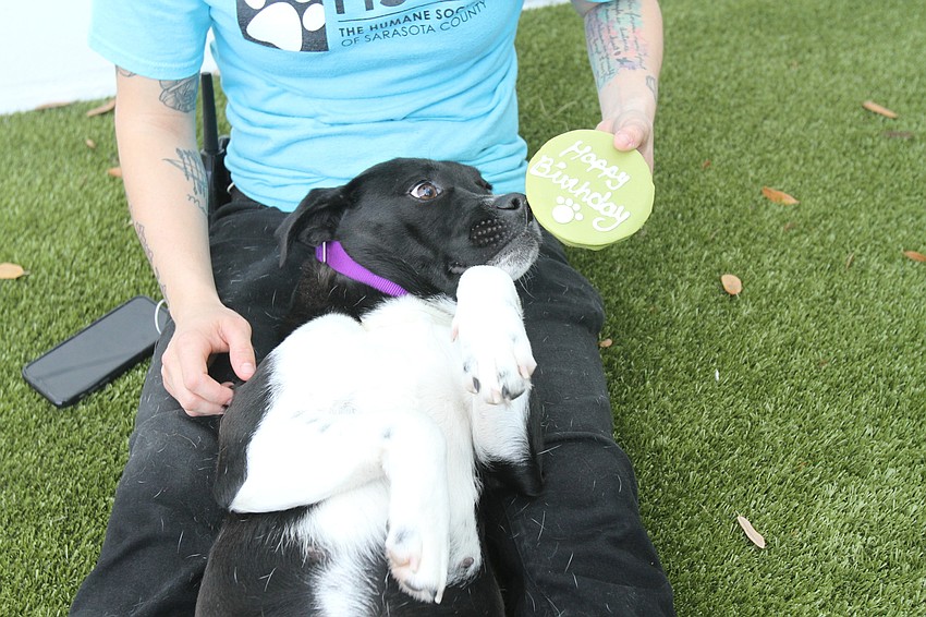 Karen wasn't quite sure what to do with her treat.