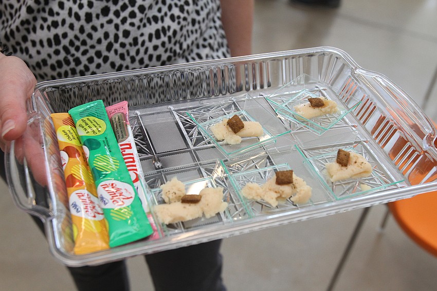 Cats were treated to kitty hors d'oeuvres.