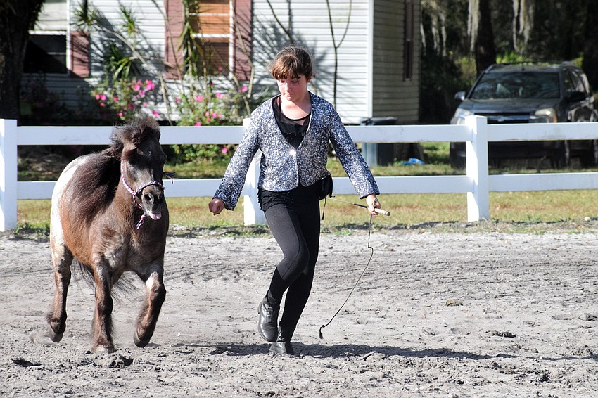 Sydney McCullough has grown up with the horses on the Herrmann family farm. She works with Little Willie, a rescue pony.