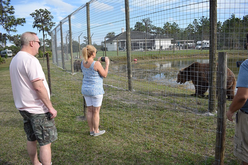 Country Creek's Robert and Lynne Chippendale thought they would support Bearadise and celebrate Valentine's Day at the same event.