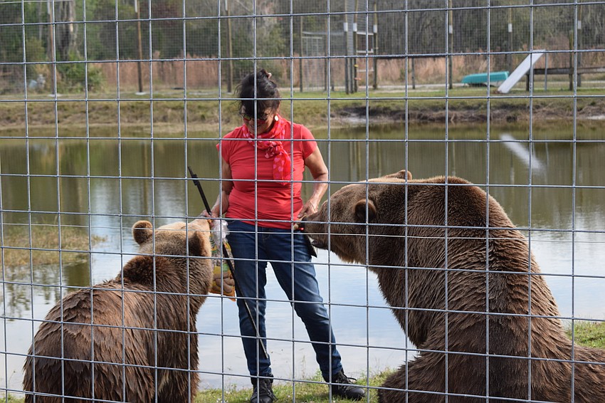 Bambi and Bruno try to get snacks from Monica Welde.