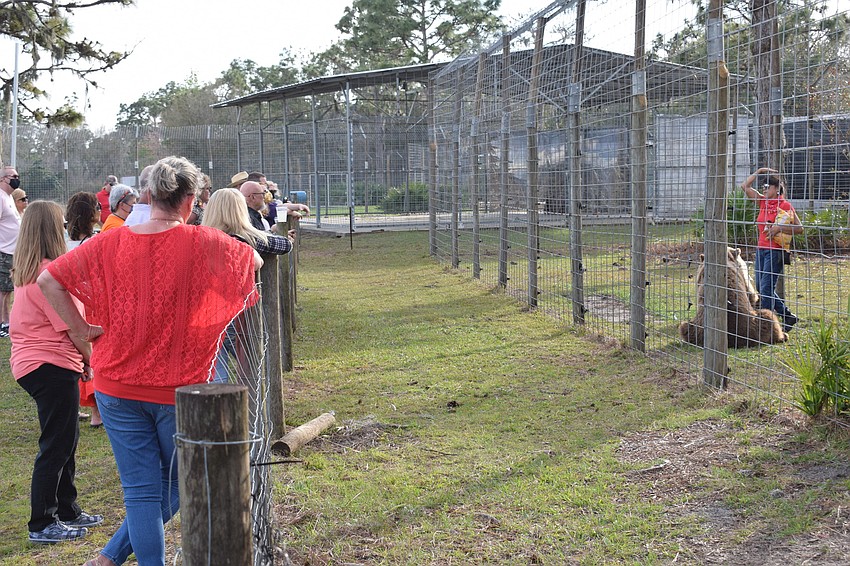 Those who attend Bear Hugs and Kisses listen to a presentation from Monica Welde, who is in the habitat with Carol, a European brown bear.
