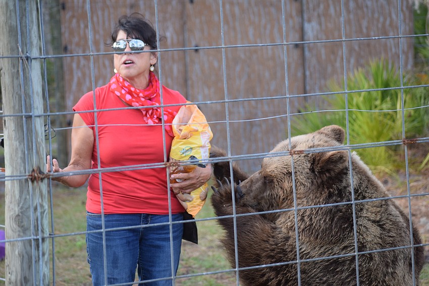 Monica Welde answered questions from the guests about her bears at Bear Hugs and Kisses.