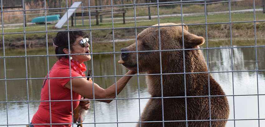 Monica Welde compares herself to a surrogate mother for most of her bears.