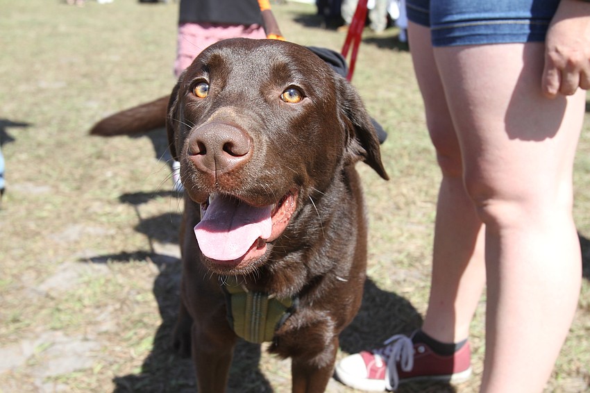 Remington the dog was more than excited.