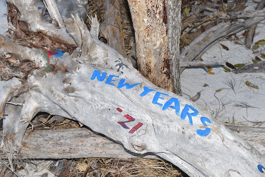 Cyndi Seamon documented graffiti to send it along to be covered up.