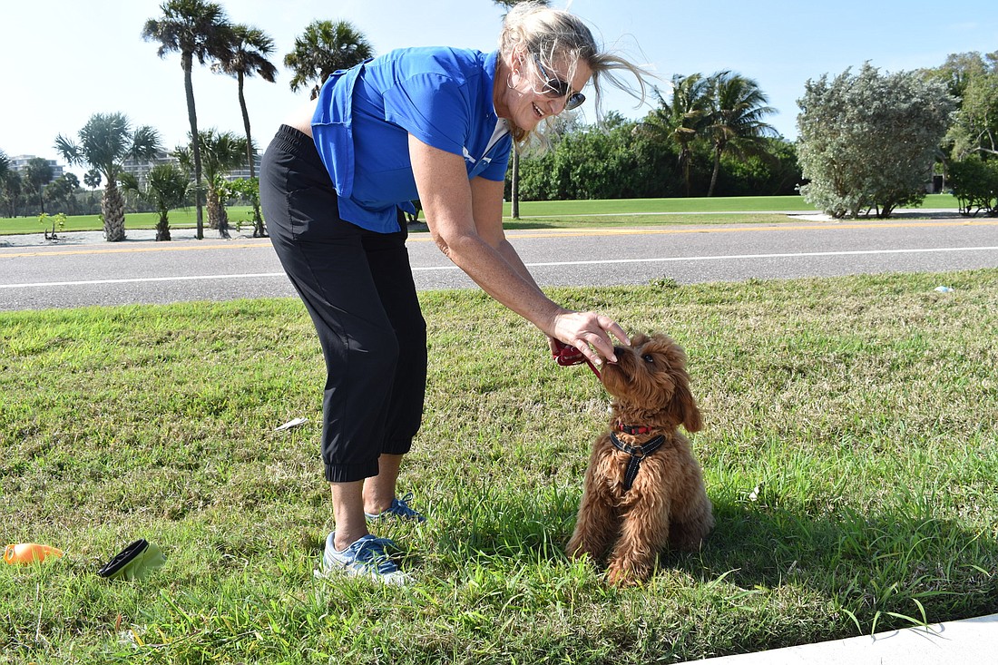 Kelly Ermold walked a 5-month-old Cavapoo named Finn on Feb. 18 along Gulf of Mexico Drive. Ermold said sheâ€™d like to see more places in Longboat Key where dogs arenâ€™t required to wear a leash.