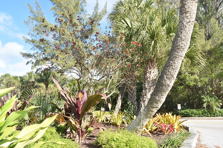 The island on Firehouse Court.