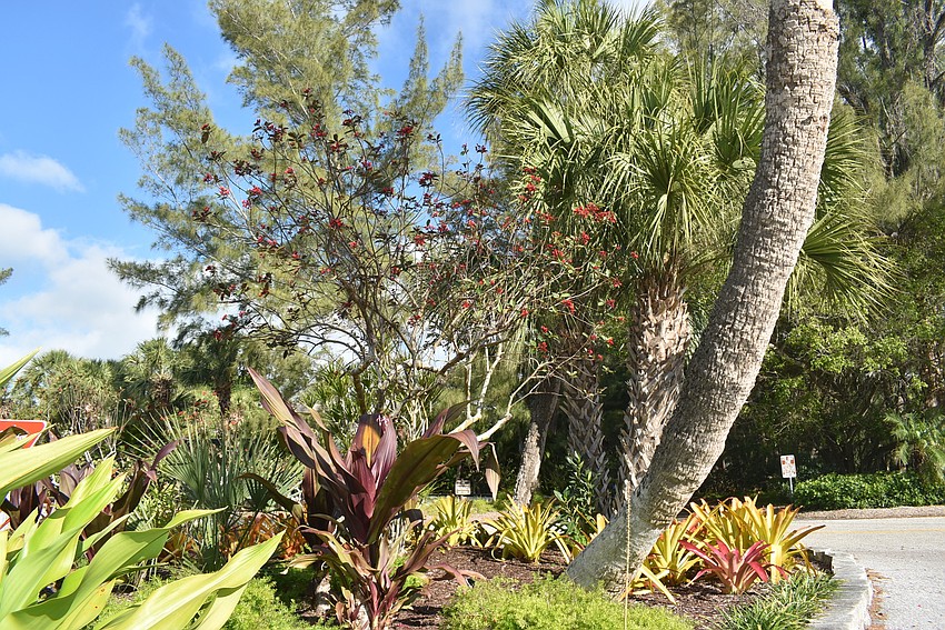 The island on Firehouse Court.