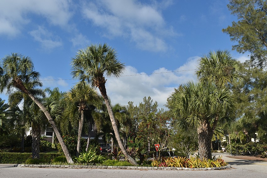 The island on Firehouse Court.