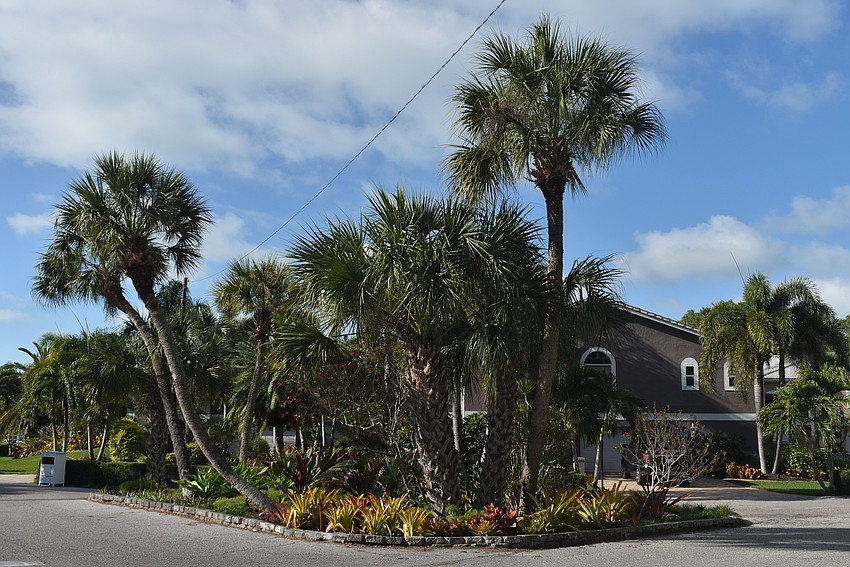 The island on Firehouse Court.