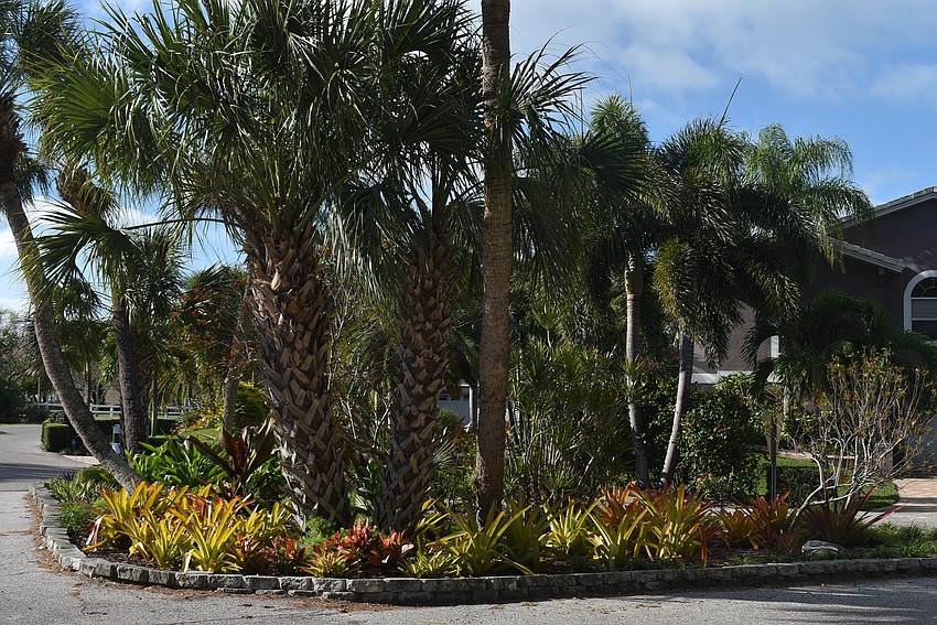 The island on Firehouse Court.