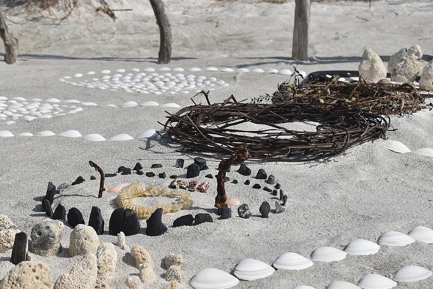 Dried turtle scutes make up a circle in the center.