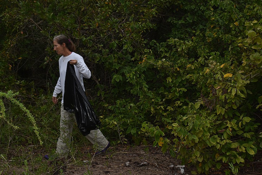 Cyndi Seamon searches in the mangroves.