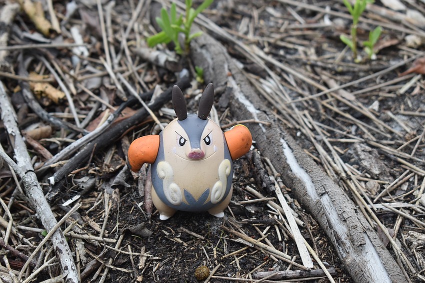 Not all of the trash was broken into unrecognizable bits.