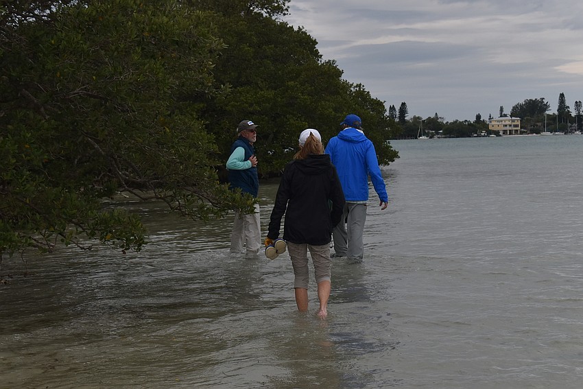Lyn Haycock carries her shoes as she makes her way to solid land.