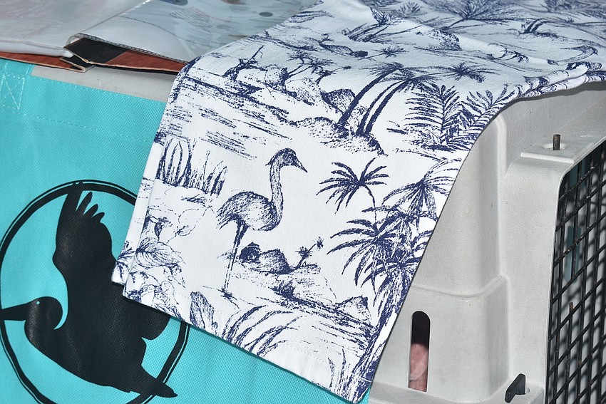 Dale didn't plan on the bird-print pants getting delivered that day.