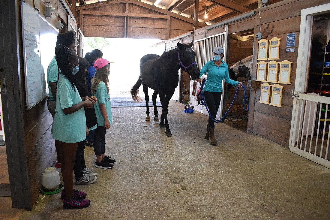 Children from the Boys and Girls Club of Manatee County watch as Ilee Finocchiaro, an instructor for Sarasota Manatee Association for Riding Therapy, lead Jazz across the barn.