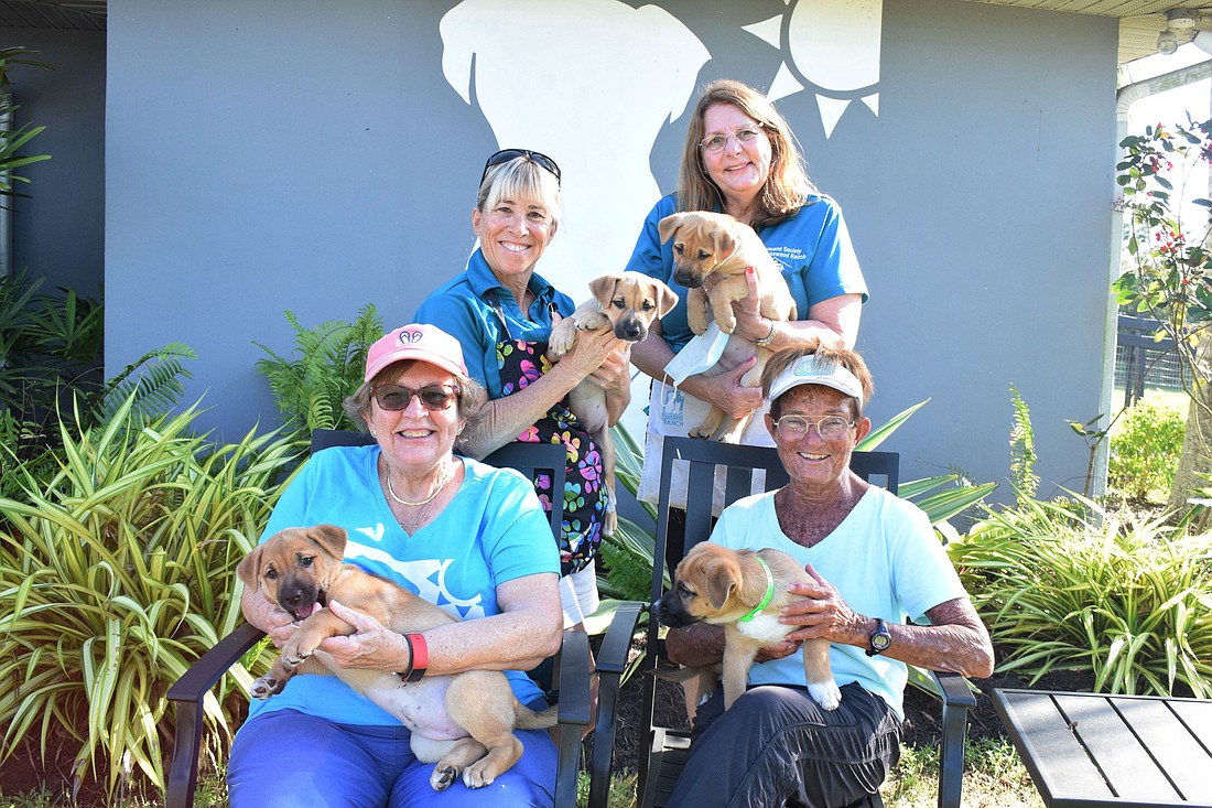 East County&#39;s (back) Stacey Clevenger, Cindy Jackson, (front) Liz Lynne and Pat Miller volunteer together at the Humane Society at Lakewood Ranch every Wednesday night.