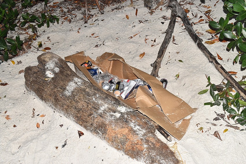 Cyndi Seamon came across a discarded case of empty beer cans.